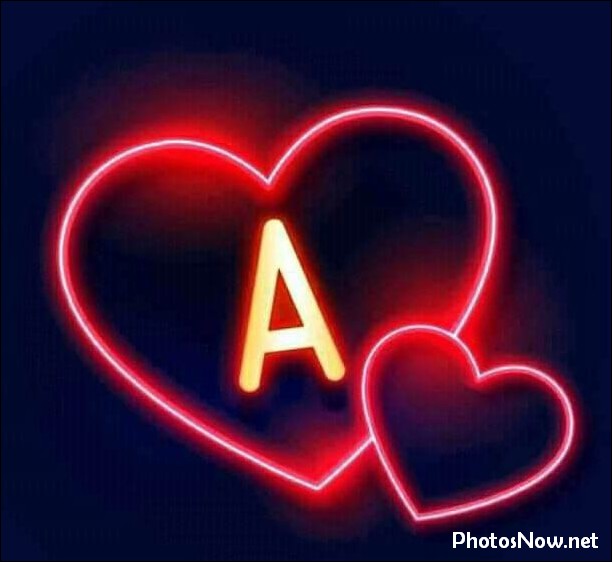 a-name-dp a-name-dp