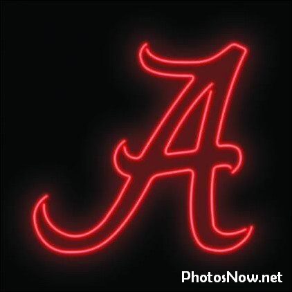 a-name-dp a-name-dp