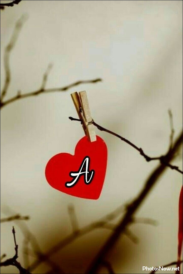 a-name-dp a-name-dp
