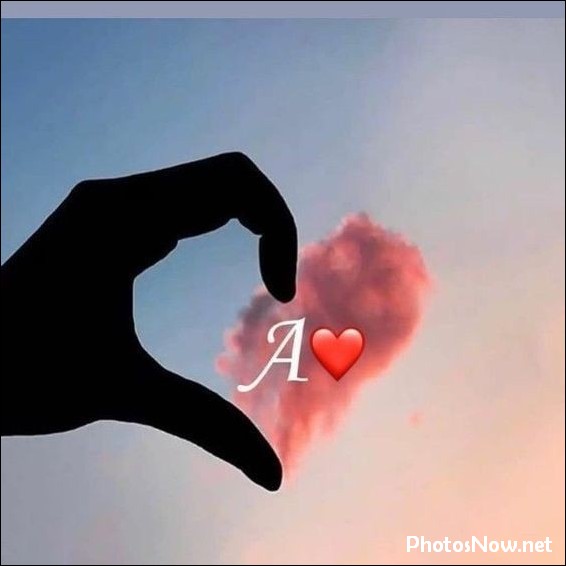 a-name-dp a-name-dp