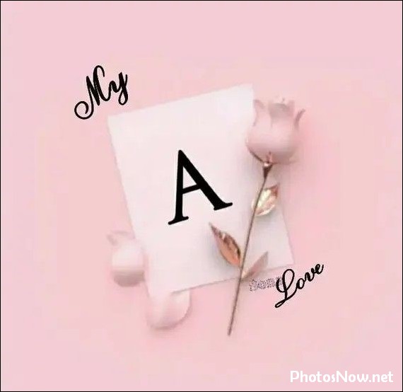 a-name-dp a-name-dp