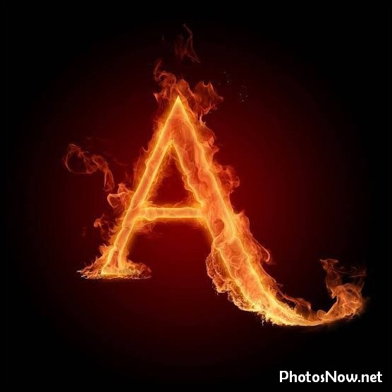 a-name-dp a-name-dp