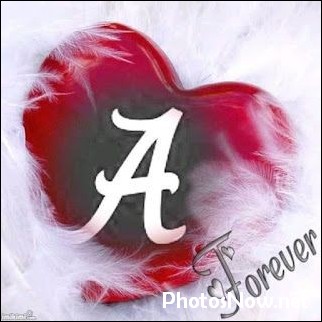 a-name-dp a-name-dp