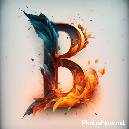 b-name-dp b-name-dp