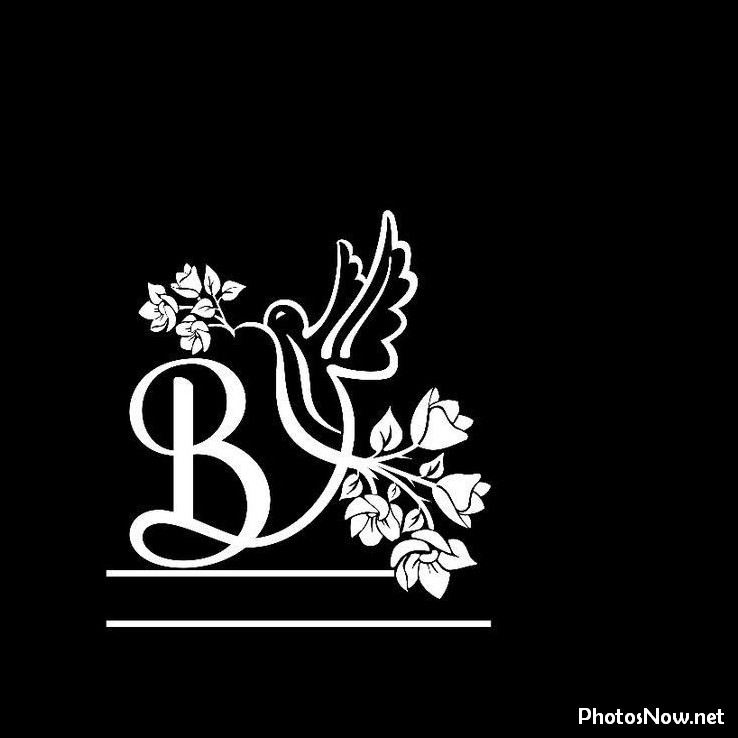 b-name-dp b-name-dp