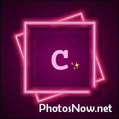 c-name-dp c-name-dp