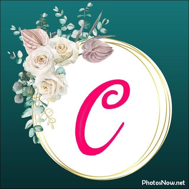 c-name-dp c-name-dp