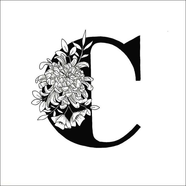 c-name-dp c-name-dp
