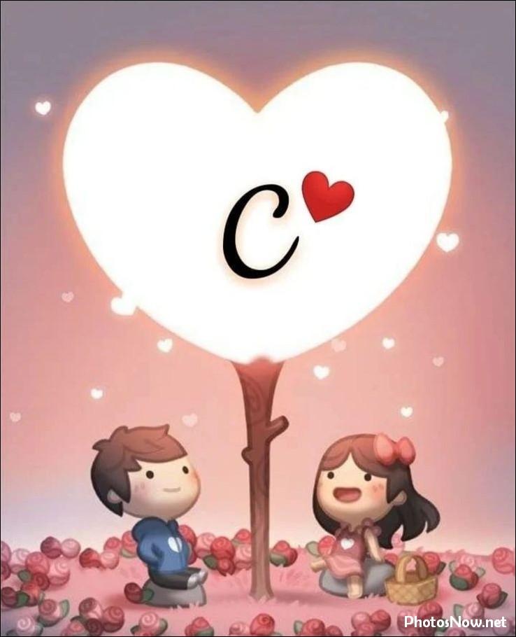 c-name-dp c-name-dp