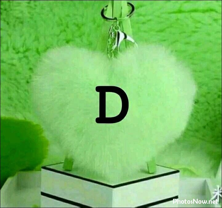 d-name-dp d-name-dp