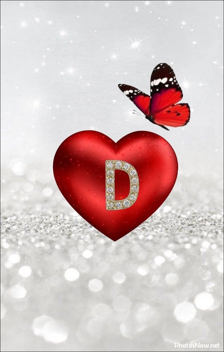 d-name-dp d-name-dp