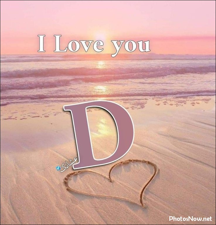 d-name-dp d-name-dp