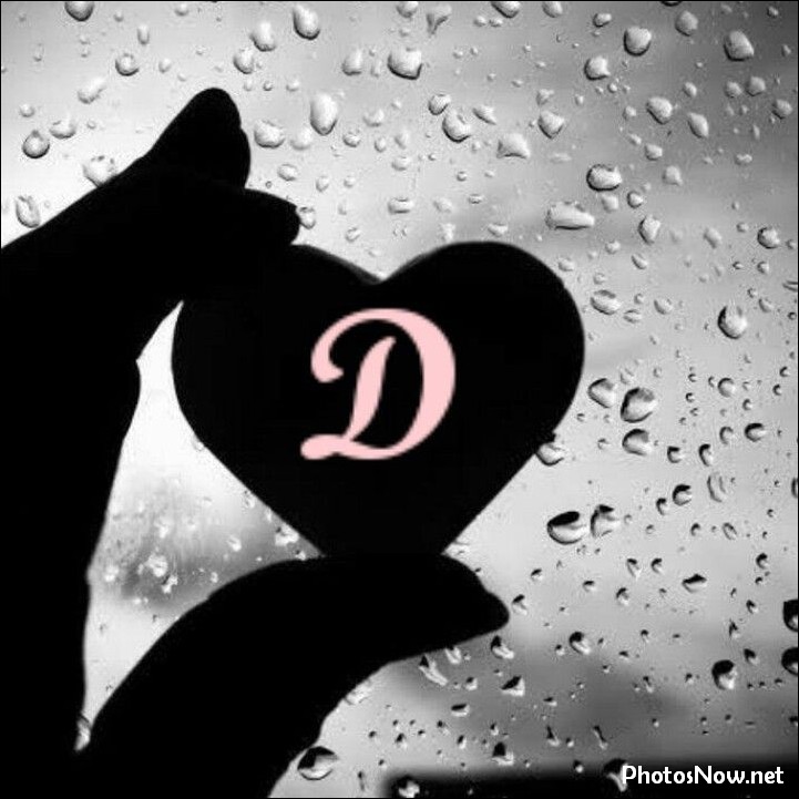 d-name-dp d-name-dp