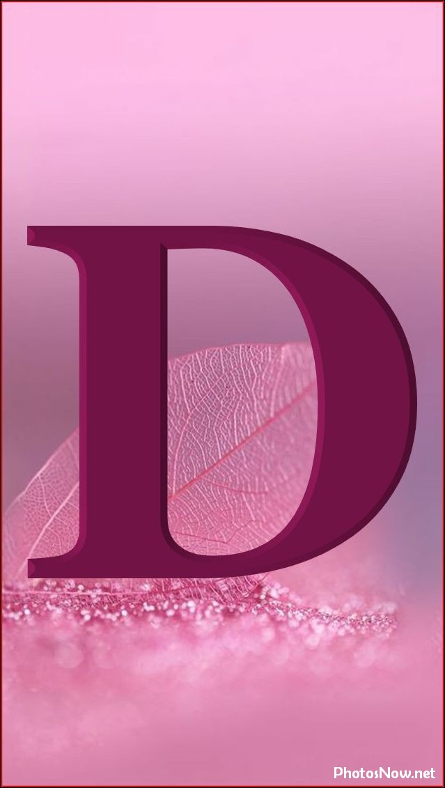 d-name-dp d-name-dp