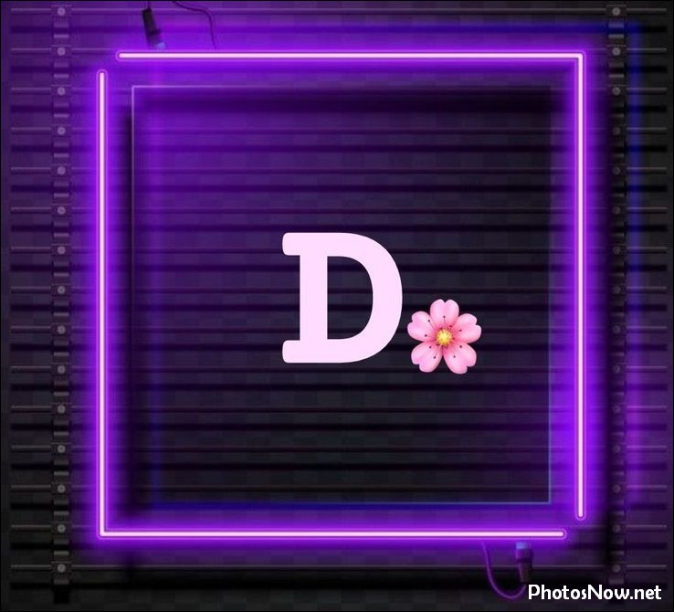 d-name-dp d-name-dp