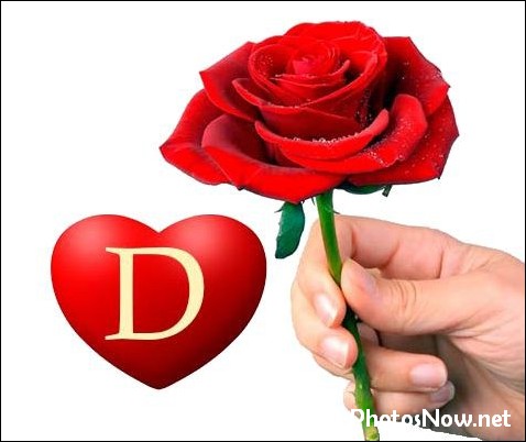 d-name-dp d-name-dp