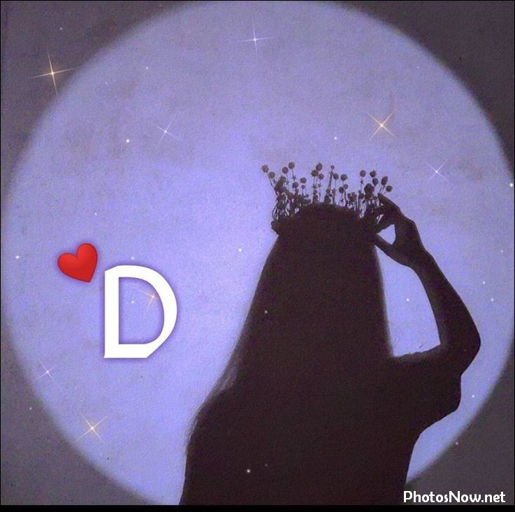 d-name-dp d-name-dp