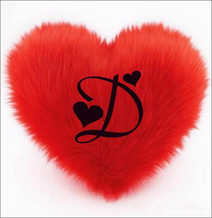 d-name-dp d-name-dp