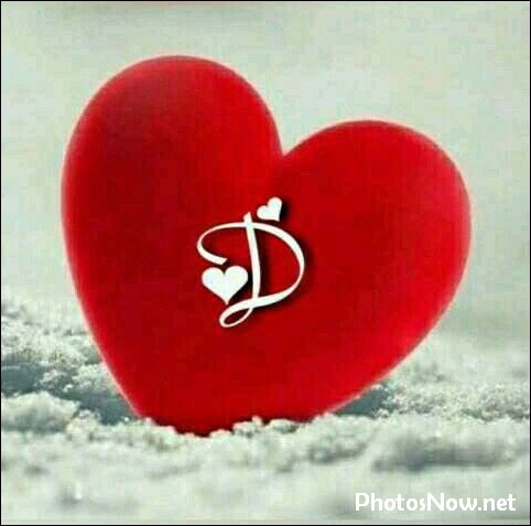 d-name-dp d-name-dp