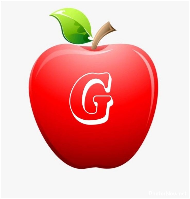 g-name-dp14 g-name-dp