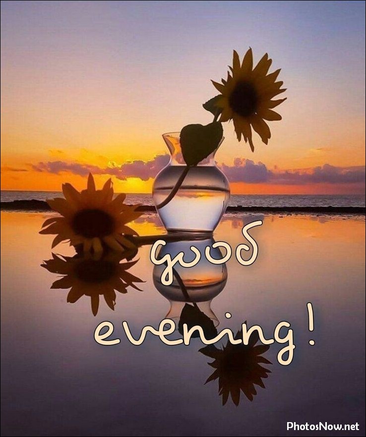 good-evening-images-photos-pics good-evening-images-photos-pics