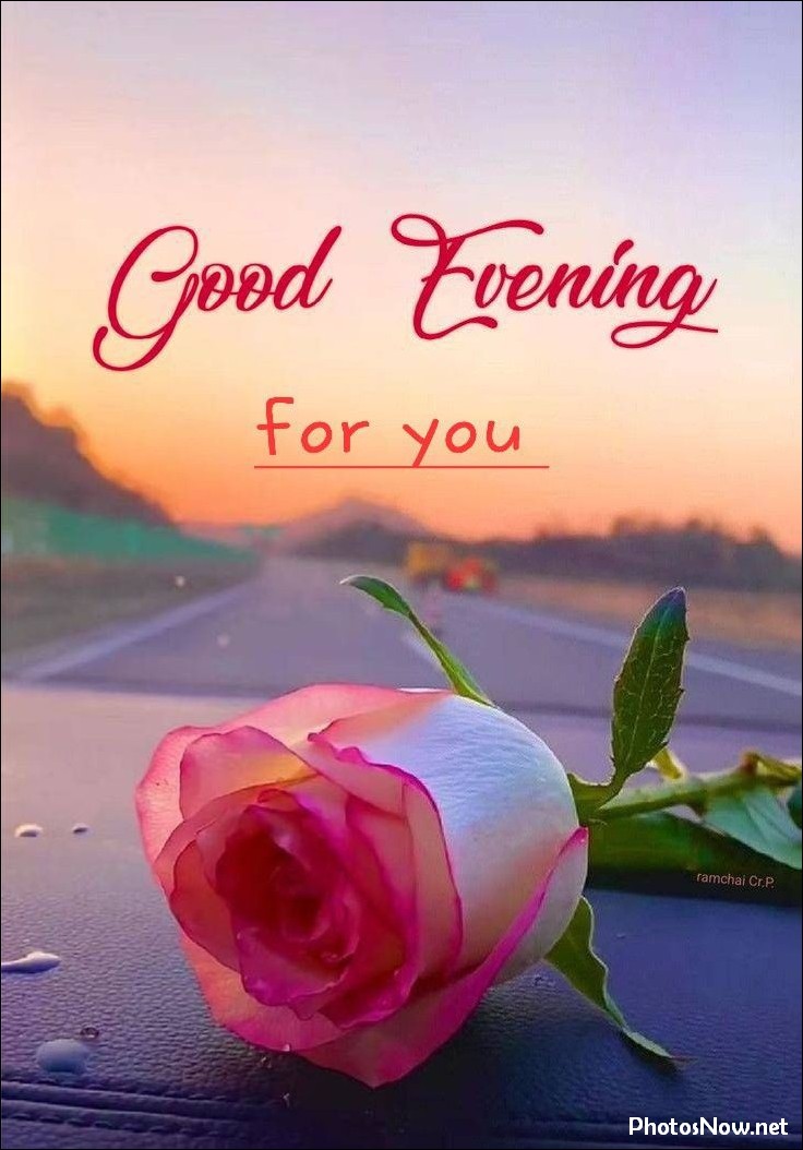 good-evening-images-photos-pics good-evening-images-photos-pics
