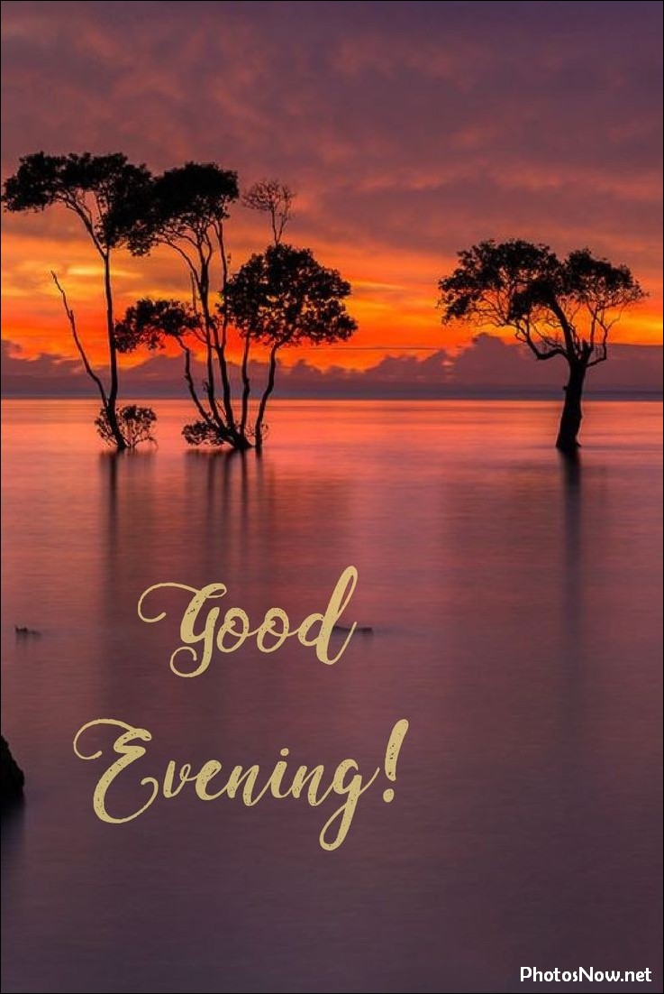 good-evening-images-photos-pics good-evening-images-photos-pics