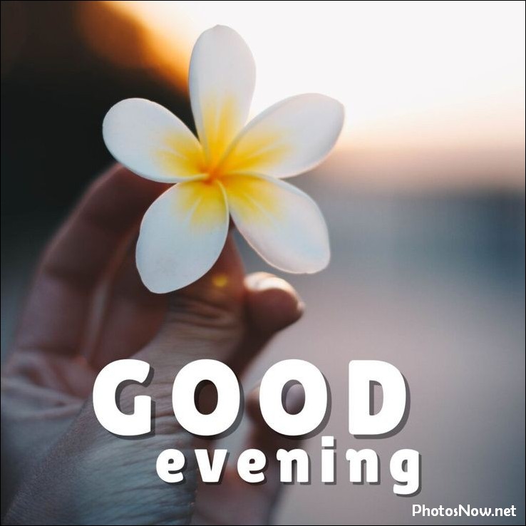 good-evening-images-photos-pics good-evening-images-photos-pics