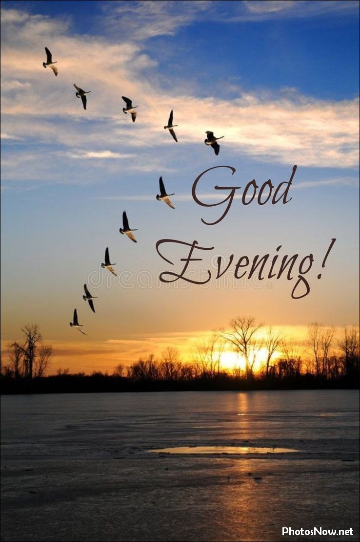 good-evening-images-photos-pics good-evening-images-photos-pics