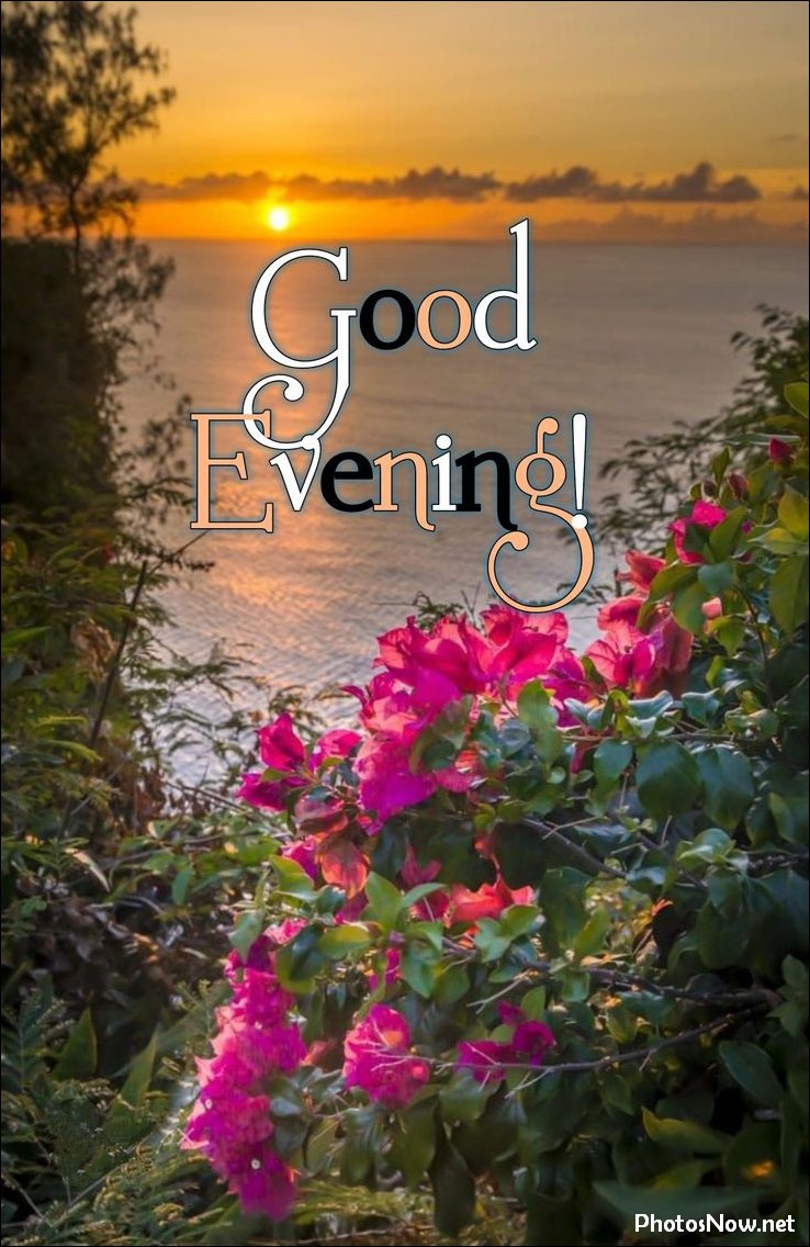 good-evening-images-photos-pics good-evening-images-photos-pics