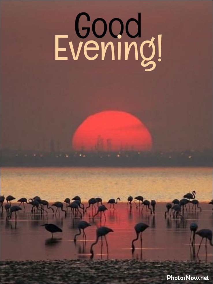 good-evening-images-photos-pics good-evening-images-photos-pics