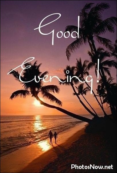good-evening-images-photos-pics good-evening-images-photos-pics