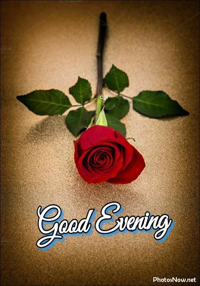 good-evening-images-photos-pics good-evening-images-photos-pics