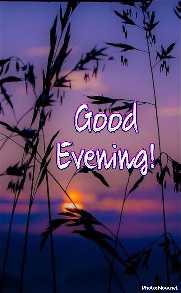 good-evening-images-photos-pics good-evening-images-photos-pics
