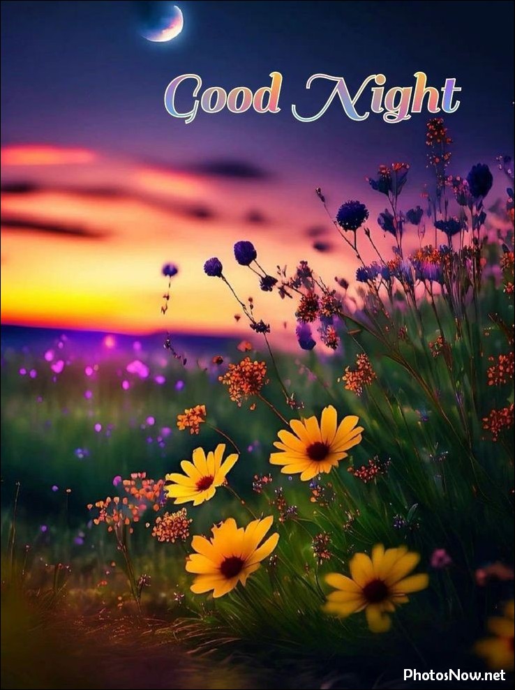 good-evening-images good-evening-images