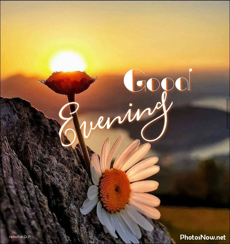 good-evening-images good-evening-images