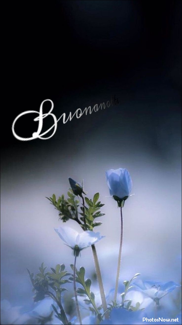 immagini-buonanotte immagini-buonanotte