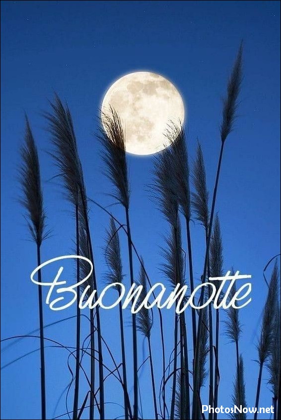 immagini-buonanotte immagini-buonanotte