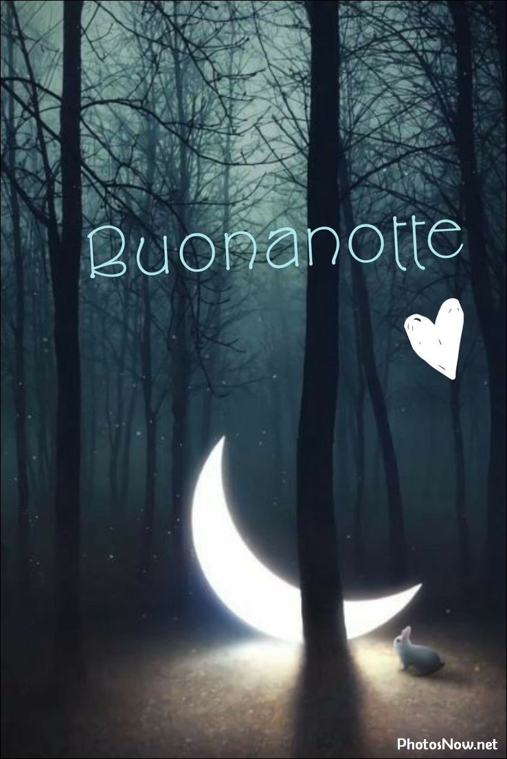immagini-buonanotte immagini-buonanotte