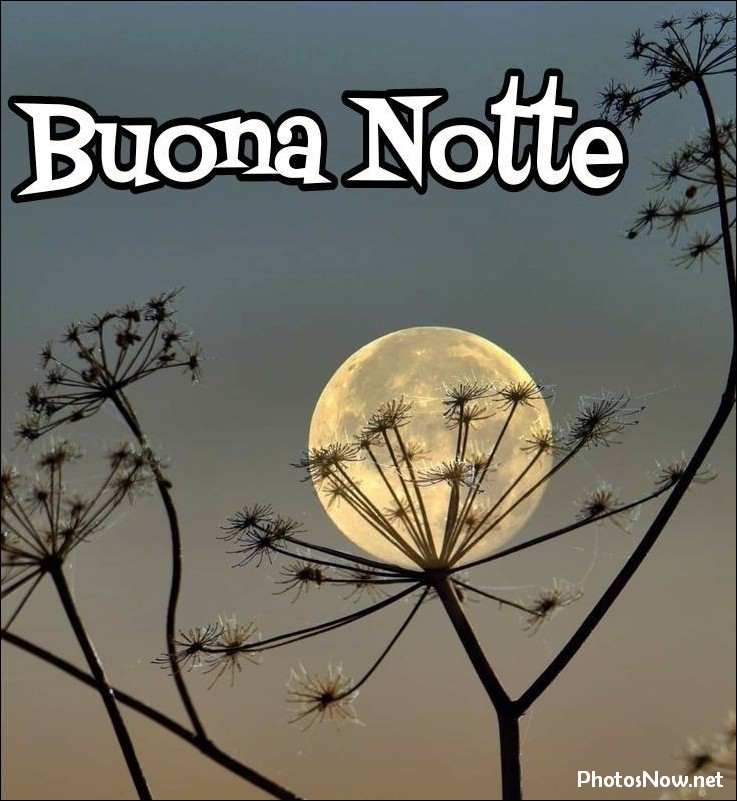 immagini-buonanotte immagini-buonanotte