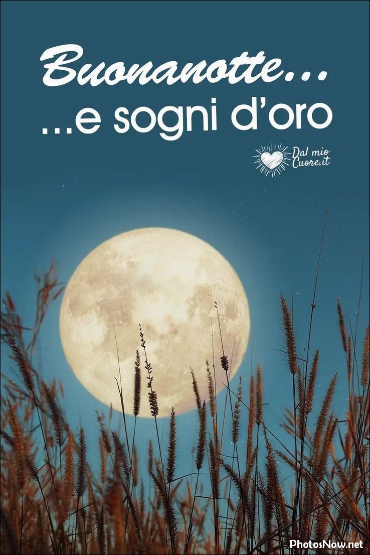 immagini-buonanotte immagini-buonanotte