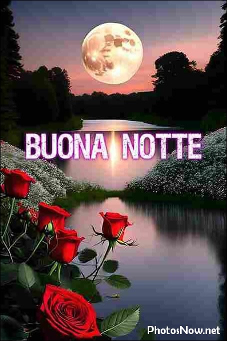 immagini-buonanotte immagini-buonanotte