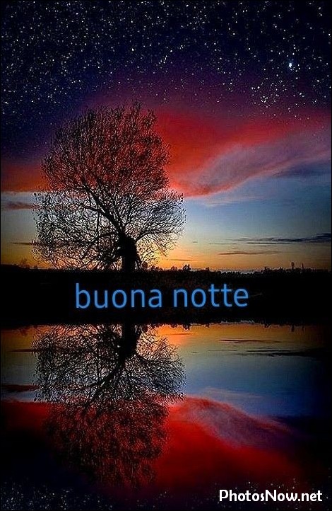 immagini-buonanotte immagini-buonanotte