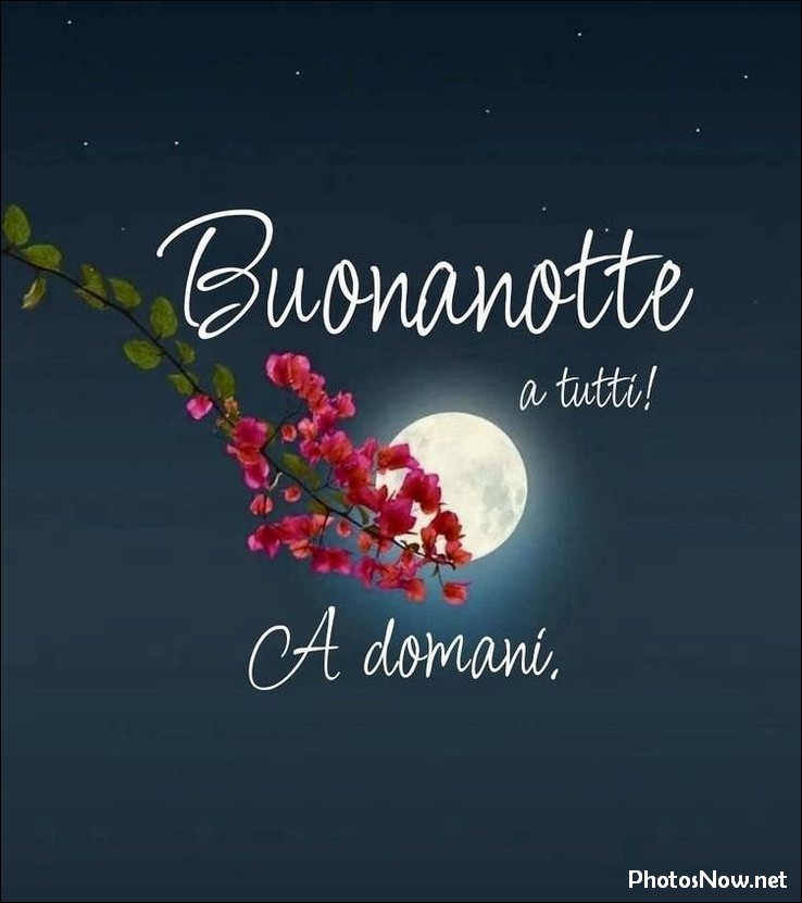 immagini-buonanotte buonanotte-speciale
