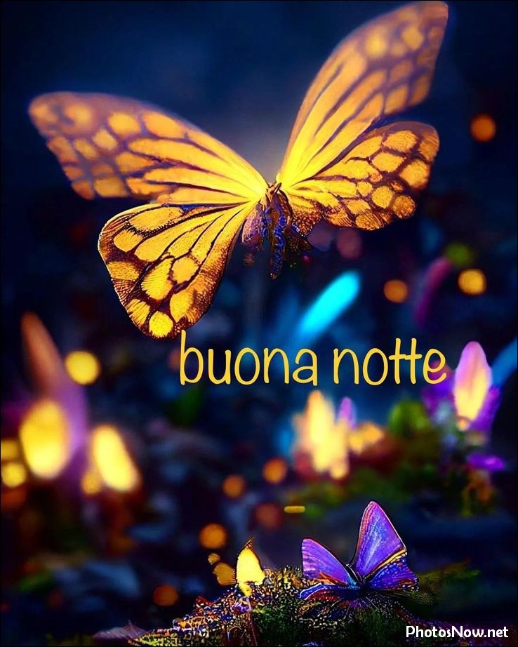 immagini-buonanotte immagini-buonanotte