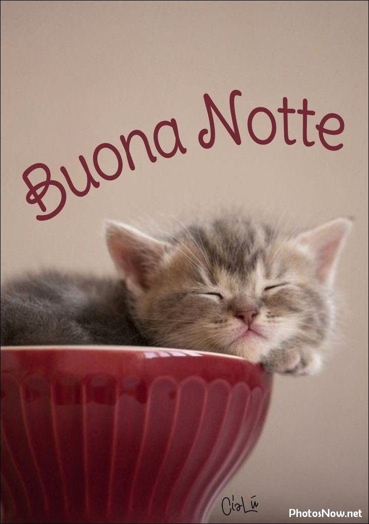 immagini-buonanotte buonanotte-originalissima