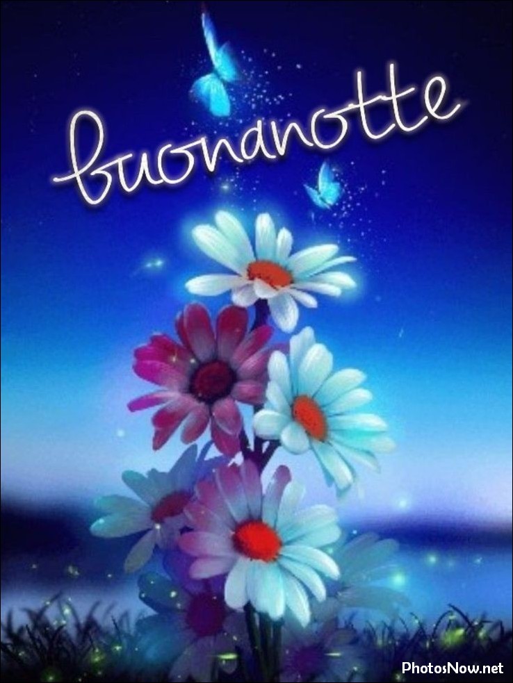 immagini-buonanotte immagini-buonanotte