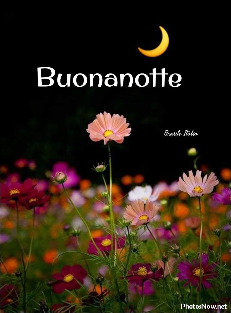 immagini-buonanotte immagini-buonanotte-belle