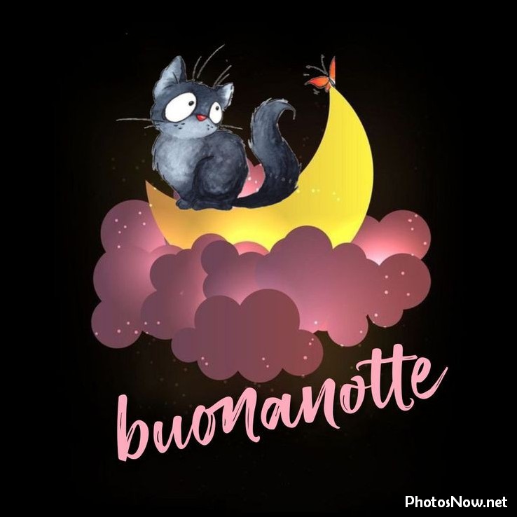 immagini-buonanotte foto-buonanotte