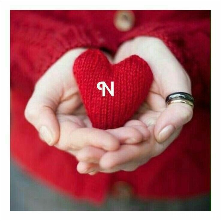 n-name-dp11 n-name-pic